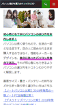 Mobile Screenshot of check-pc.com